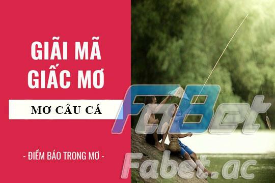 Chiêm bao thấy câu cá có ý nghĩa gì?