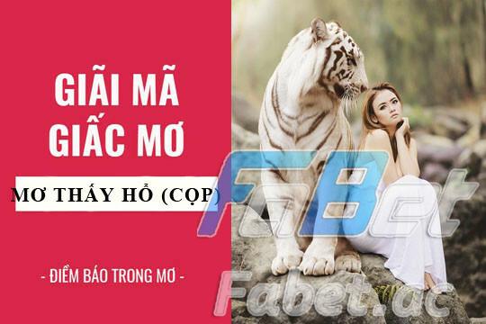 Mơ thấy hổ có điềm báo gì?