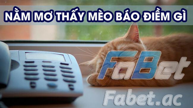 Mơ thấy mèo có điềm báo gì?