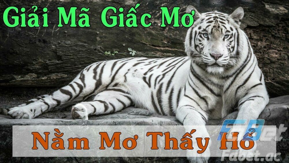 Ngủ mơ thấy hổ ăn mồi