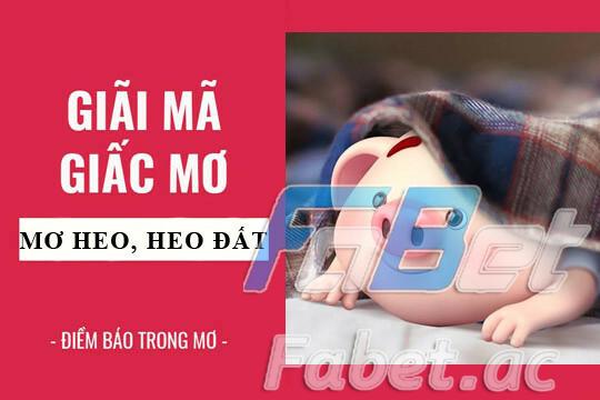 Nằm mơ thấy heo là điềm lành hay dữ?