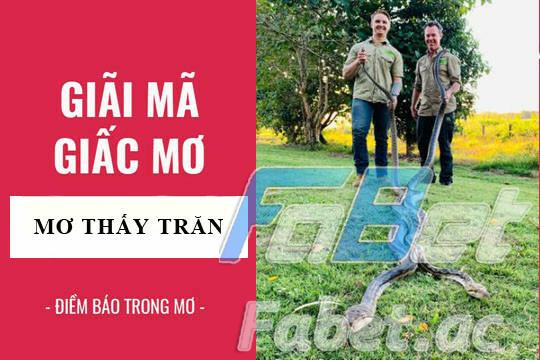 Nằm mơ thấy trăn có điềm báo gì?