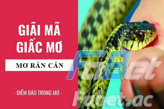 Điềm báo nằm mơ thấy bị rắn cắn là gì?