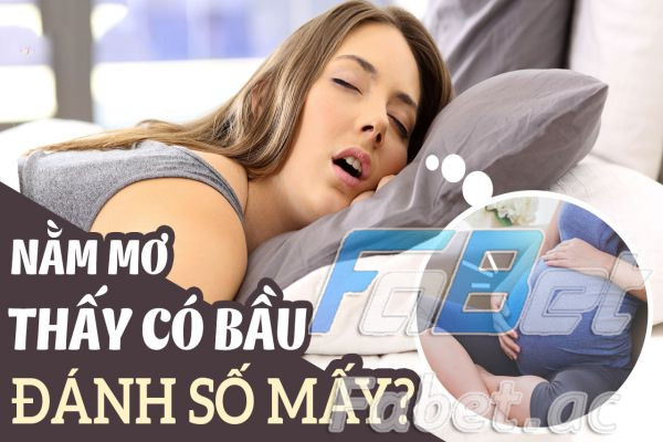 Số mấy liên quan đến nằm mơ thấy bà bầu?