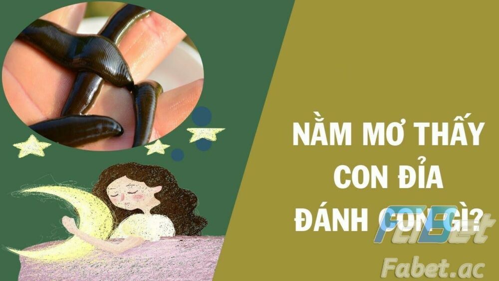 Giải mã nằm mơ thấy đỉa đánh số mấy trúng lớn?