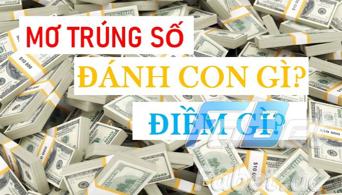 Giải mã nằm mơ thấy trúng số độc đắc có phải điềm tốt?