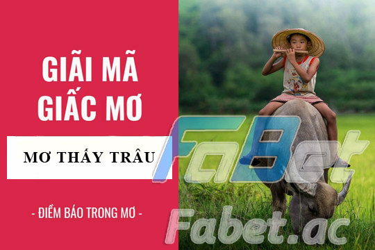 Nằm mơ thấy trâu là điềm gì?