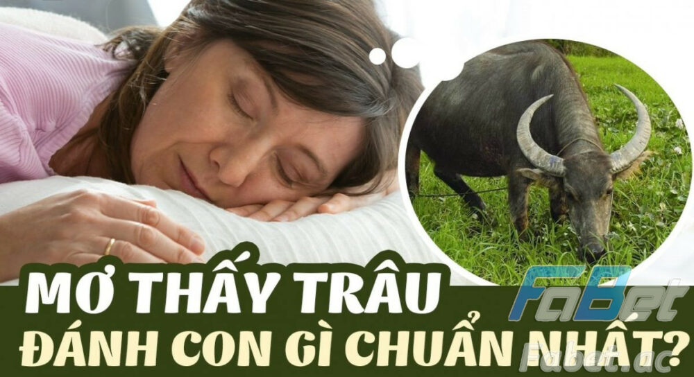 Nằm mơ thấy trâu nên đánh số mấy?