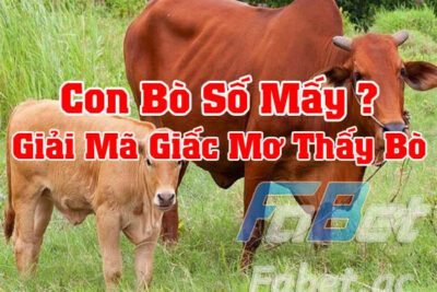 Nằm mơ thấy bò húc có phải điềm xấu? Đánh số mấy?