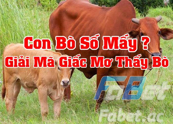 Nằm mơ thấy bò là điềm tốt hay xấu?