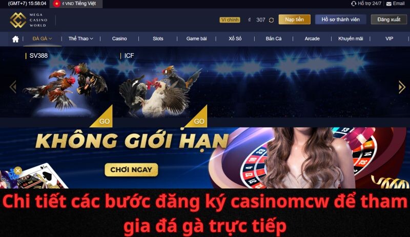 Đôi nét về hai sảnh trực tiếp đá gà thomo tại casinomcw