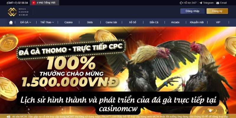 Lịch sử hình thành và phát triển của đá gà trực tiếp tại casinomcw