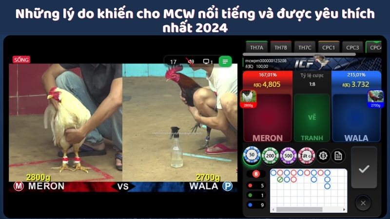 Những lý do khiến cho MCW nổi tiếng và được yêu thích nhất 2024