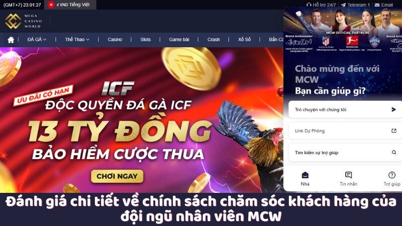 Đánh giá chi tiết về chính sách chăm sóc khách hàng của đội ngũ nhân viên MCW