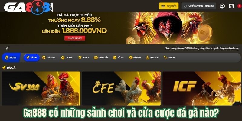 Ga888 có những sảnh chơi và cửa cược đá gà nào?